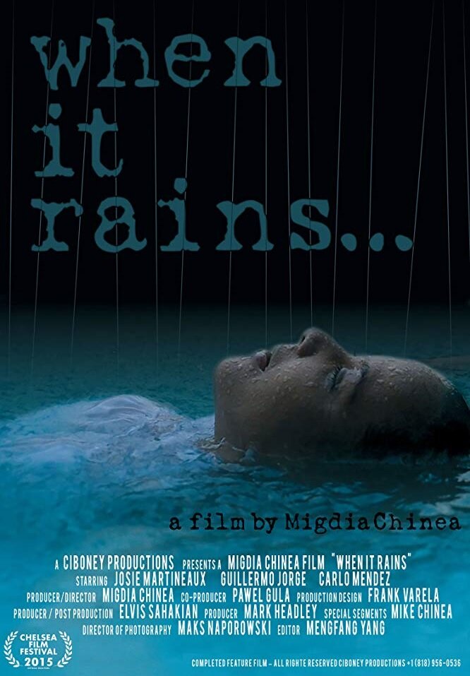 When It Rains (2015)