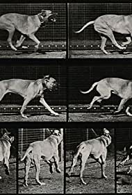 Dog Running (1887)
